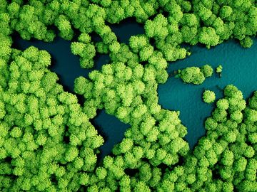  alt="ba-amadeus-sustainability-efforts"  title="ba-amadeus-sustainability-efforts" 