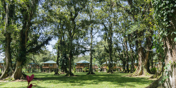 sustainability-leadership-short-term-rentals