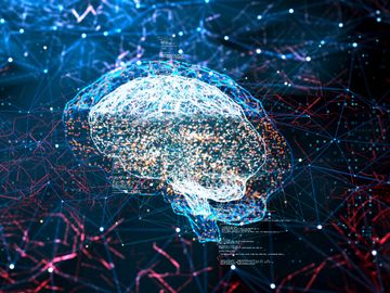  alt="netomi-opinion-airline-ai"  title="netomi-opinion-airline-ai" 