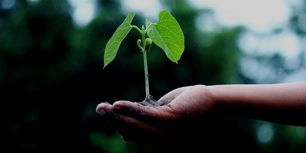 Welcome to the Hot 25 Startups for 2019