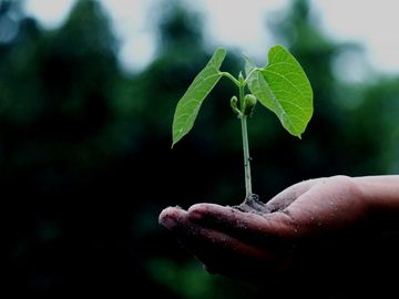  alt="Welcome to the Hot 25 Startups for 2019"  title="Welcome to the Hot 25 Startups for 2019" 