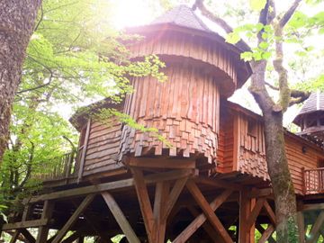  alt="PhocusWire Pulse: Rentals On The Rise"  title="PhocusWire Pulse: Rentals On The Rise" 