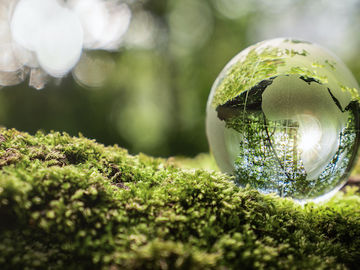  alt="Travel industry urged to be more ambitious on sustainability"  title="Travel industry urged to be more ambitious on sustainability" 