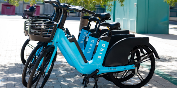 bird-micromobility-bankruptcy